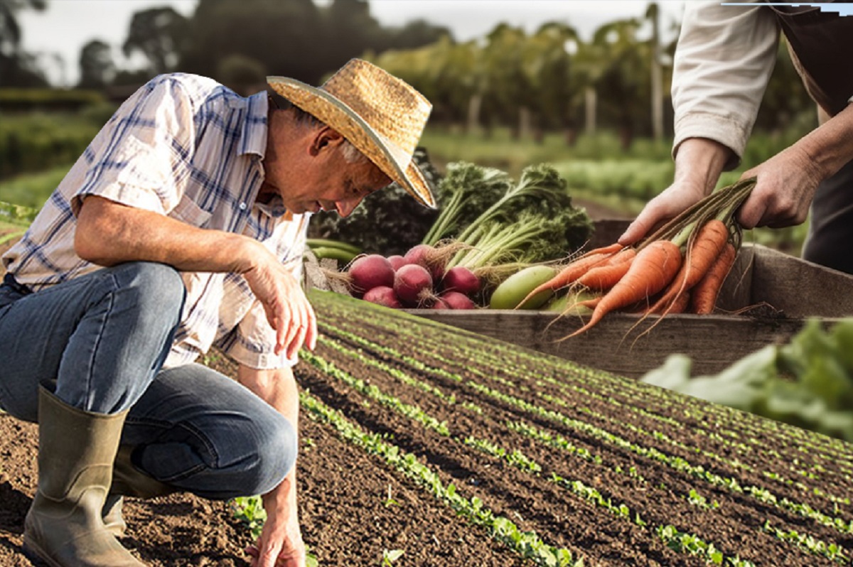 Protesta agricoltori, rime concessioni UE