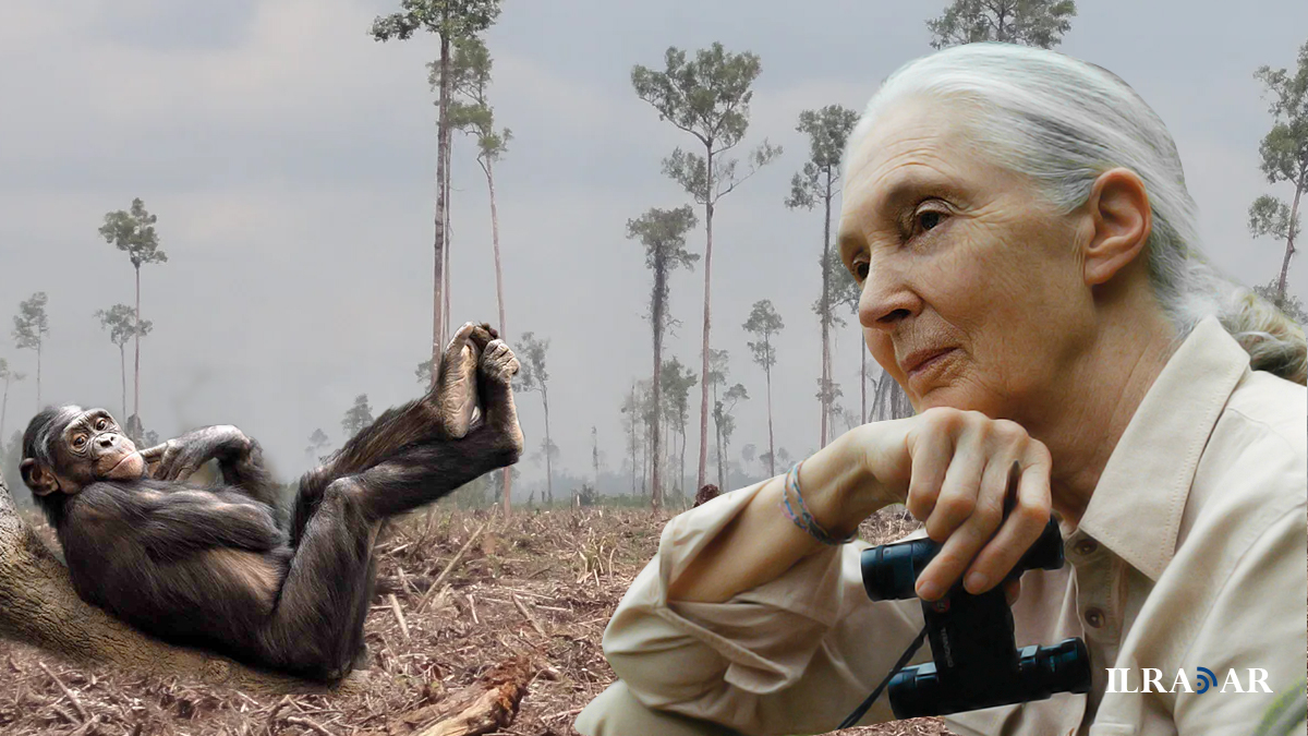 Jane Goodall